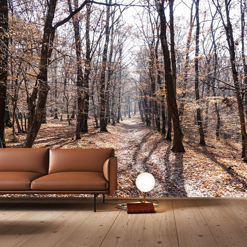 Forest Wall Mural for Sitting Room Bedroom Home Decor, Made to Measure