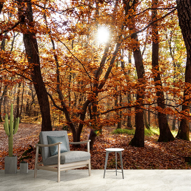 Modern Forest Trees Wall Mural for Sitting Room Bedroom Home Decor, Made to Measure