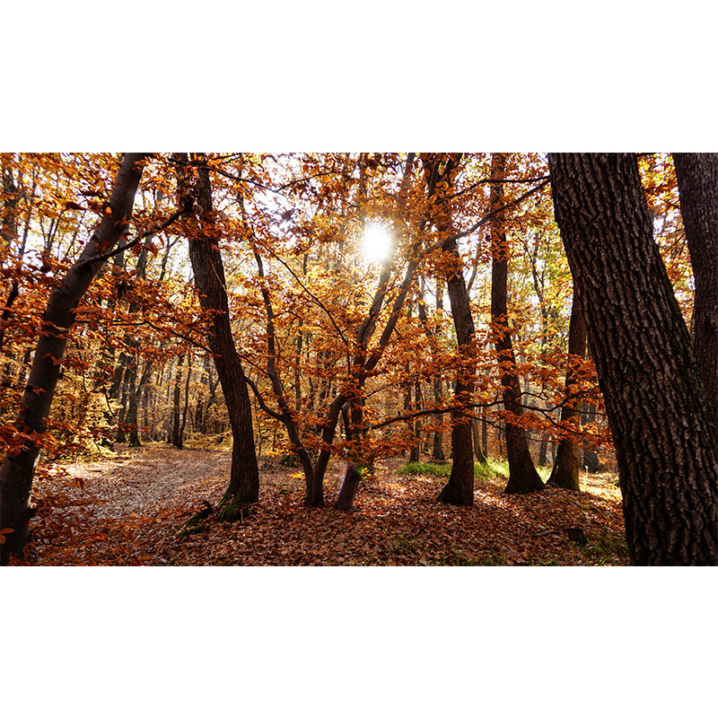 Modern Forest Trees Wall Mural for Sitting Room Bedroom Home Decor, Made to Measure