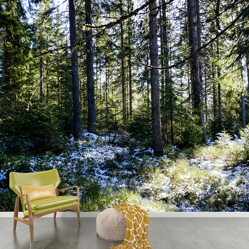 Forest Trees Mural Wallpaper, Stain Resistant Wall Decor for Kitchen Dining Room