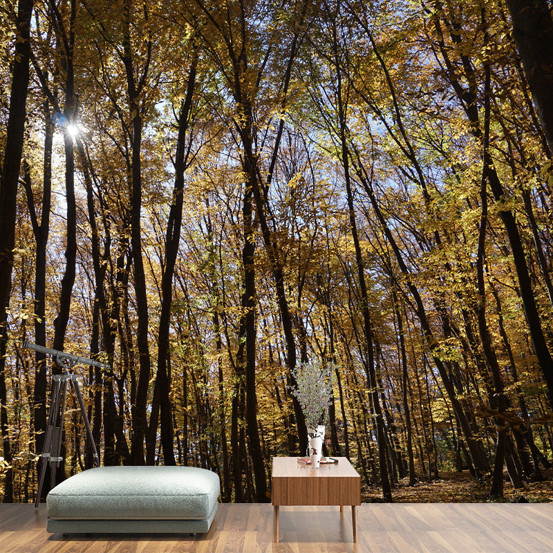 Forest Trees Mural Wallpaper, Stain Resistant Wall Decor for Kitchen Dining Room