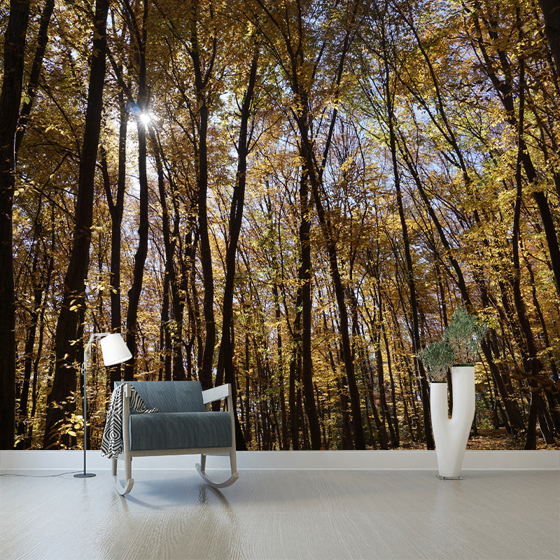 Forest Trees Mural Wallpaper, Stain Resistant Wall Decor for Kitchen Dining Room