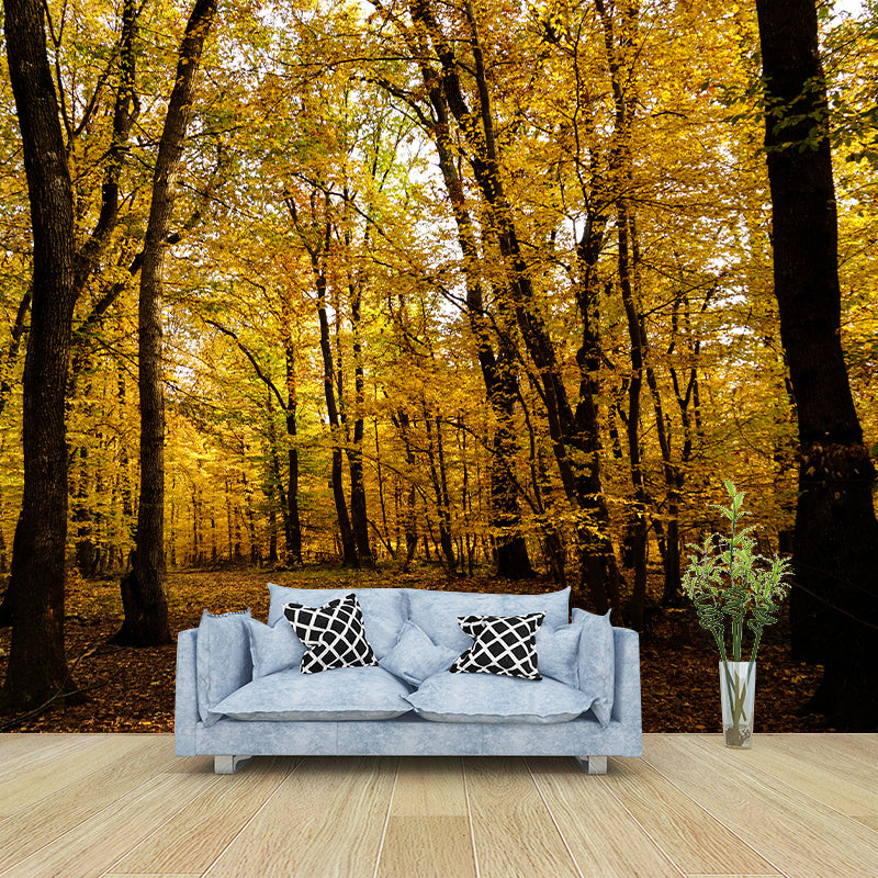 Forest Trees Mural Wallpaper, Stain Resistant Wall Decor for Kitchen Dining Room