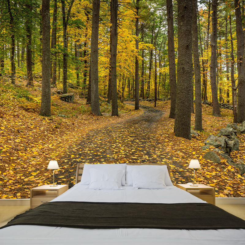 Autumn Forest Trees Wall Mural for Sitting Room Bedroom Home Decor, Made to Measure