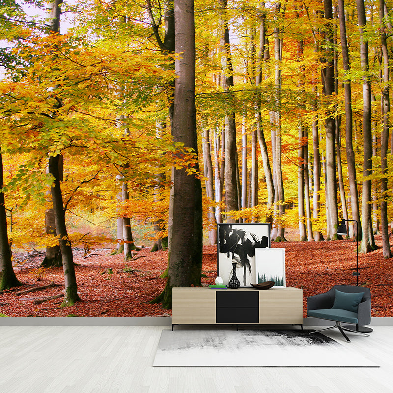Forest Yellow Trees Customized Wall Covering for Sitting Room, Moisture Resistant