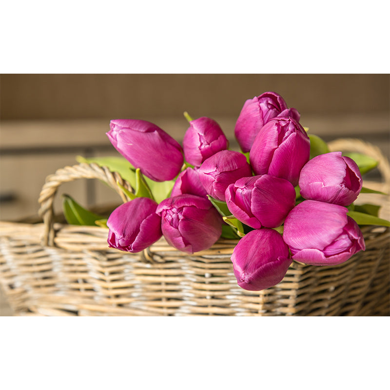 Tulip Wall Mural for Sleeping Room Gust Room, Water Resistant, Custom Size Available