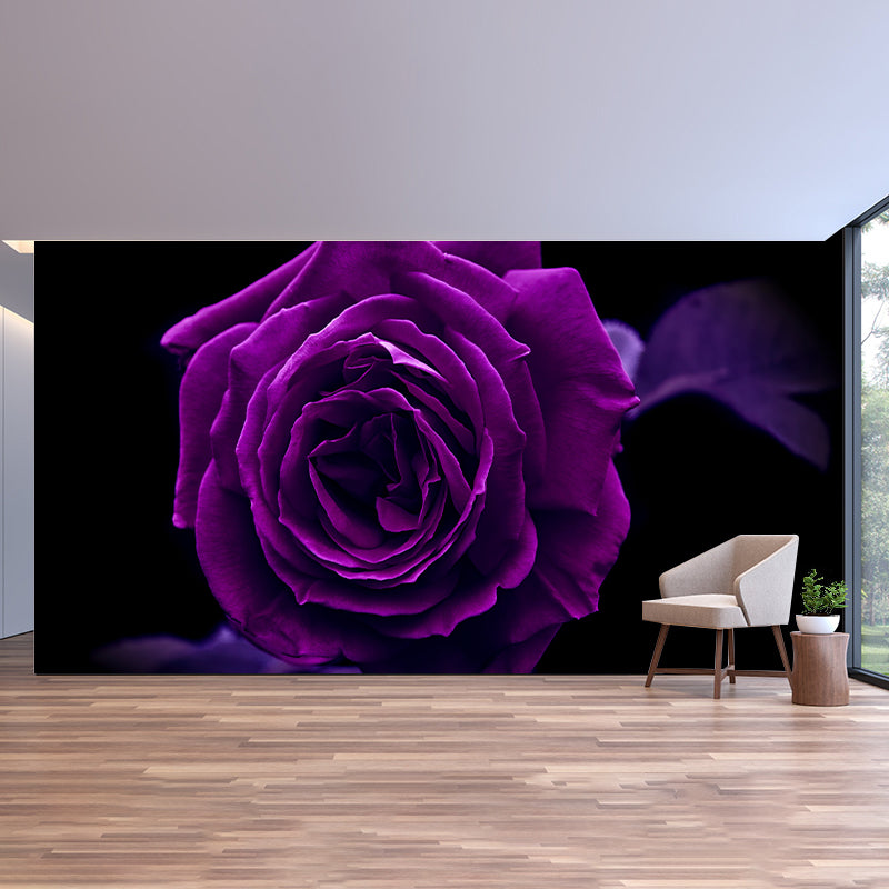 Papier peint mural Rose pour décoration de chambre à coucher, couleur vive pour la décoration de la maison, résistant à l'humidité