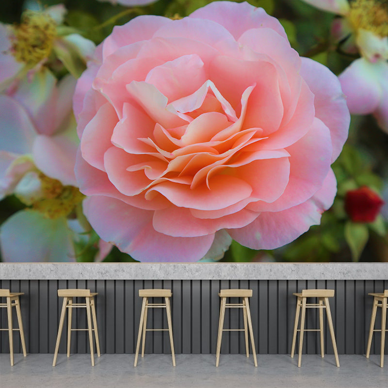Papier peint mural Rose pour décoration de chambre à coucher, couleur vive pour la décoration de la maison, résistant à l'humidité