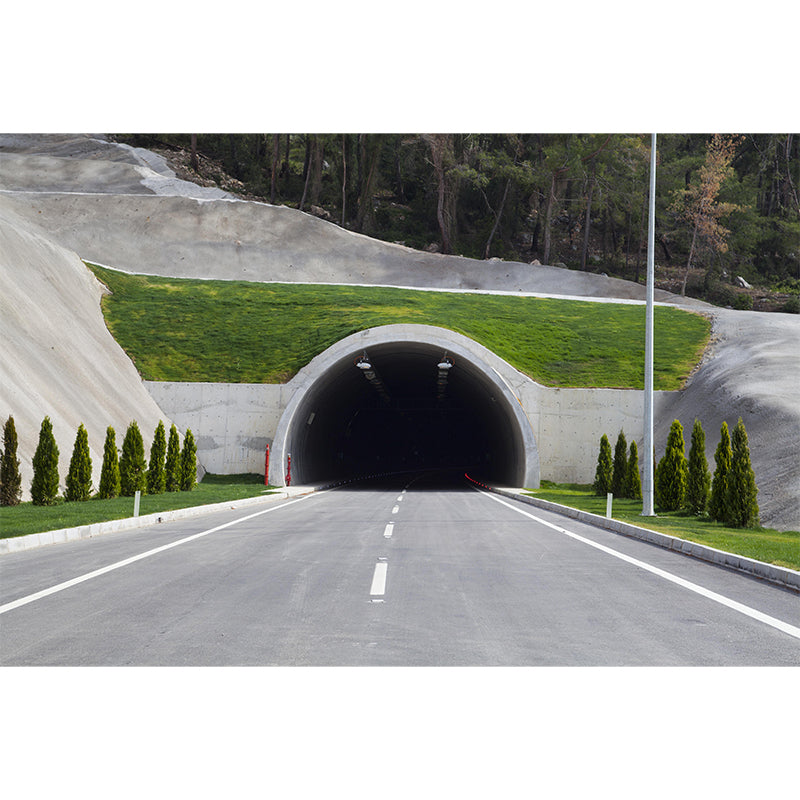 Soft Color 3D Art Illusion Mural Wallpaper Moisture Resistant for Bedroom