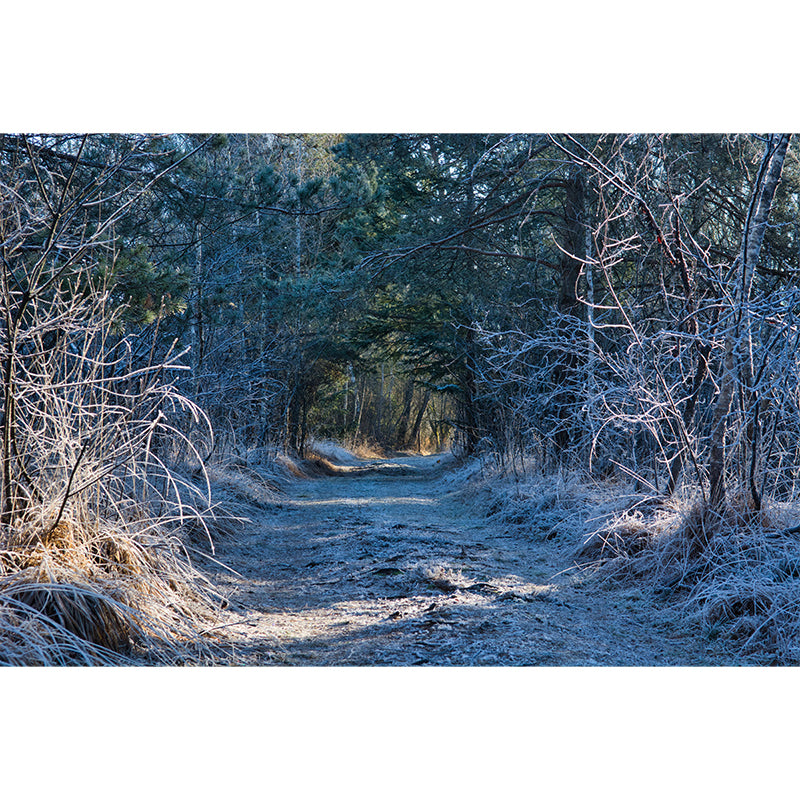 Soft Color 3D Art Illusion Mural Wallpaper Moisture Resistant for Reading Room