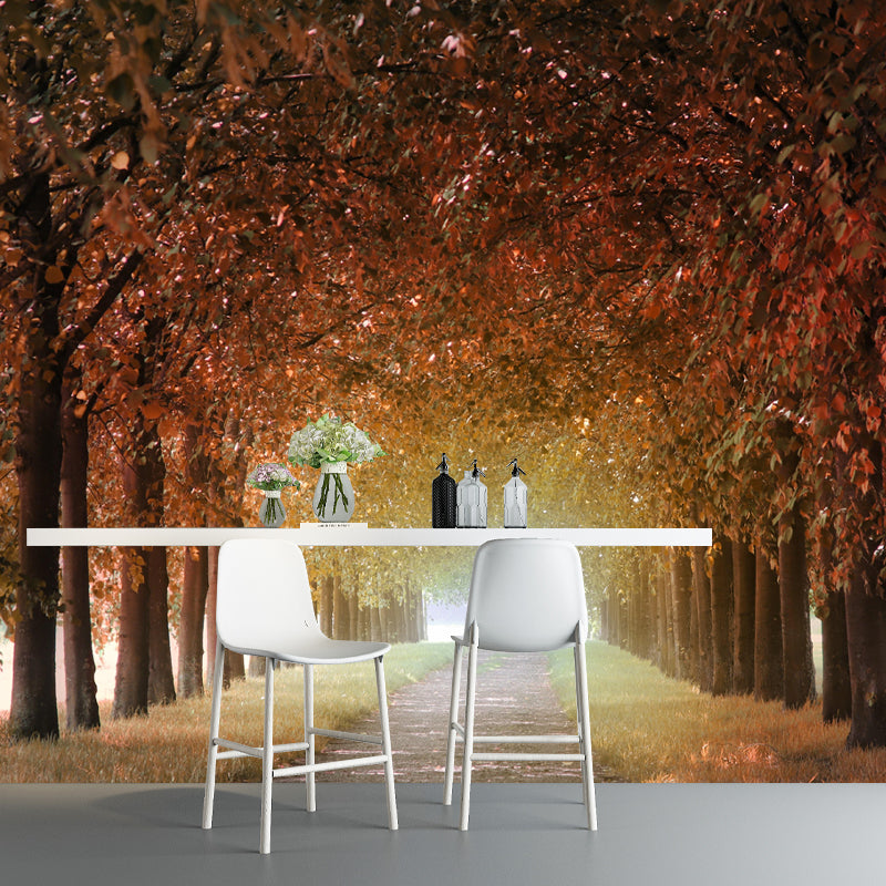 Soft Color 3D Art Illusion Mural Wallpaper Moisture Resistant for Reading Room