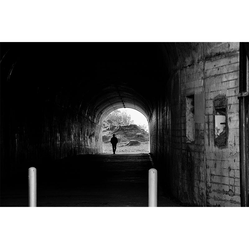 Full Size Wall Mural Decal 3D Art Illusion Wall Decor for Sitting Room