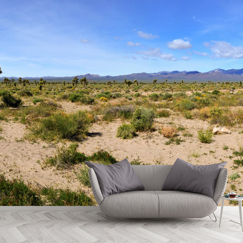 Soft Color Desert Mural Decal Nature Scenery Modern Mildew Resistant for Room