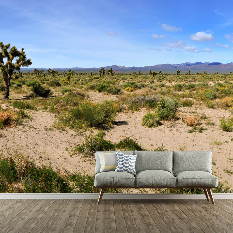 Soft Color Desert Mural Decal Nature Scenery Modern Mildew Resistant for Room