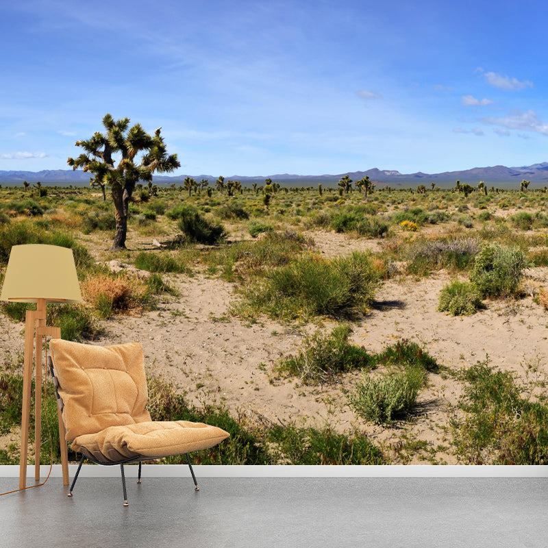 Soft Color Desert Mural Decal Nature Scenery Modern Mildew Resistant for Room