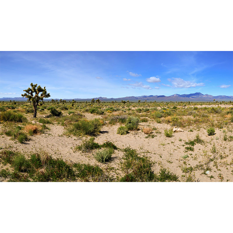 Soft Color Desert Mural Decal Nature Scenery Modern Mildew Resistant for Room