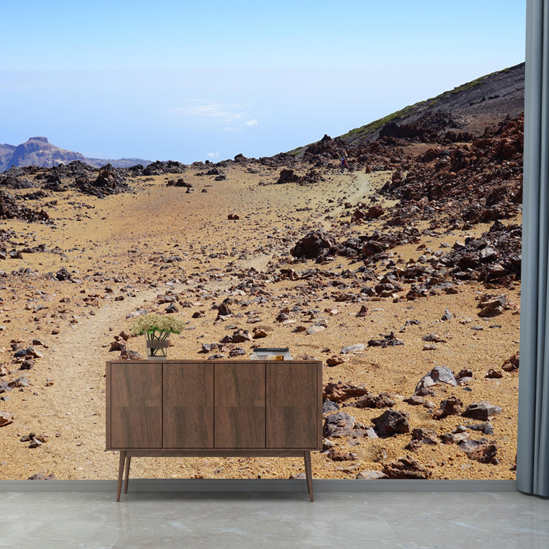 Customized Contemporary Style Desert Mural Environment Friendly for Home Decor