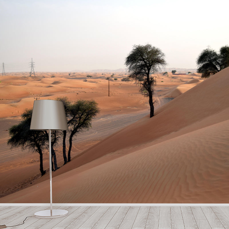 Soft Color Desert Mural Decal Nature Scenery Modern Mildew Resistant Wall Art