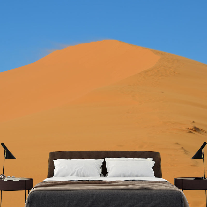 Soft Color Desert Mural Decal Nature Scenery Modern Mildew Resistant Wall Art for Home