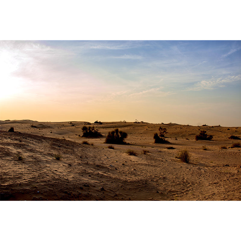 Soft Color Desert Mural Decal Nature Scenery Modern Mildew Resistant Wall Art for Room