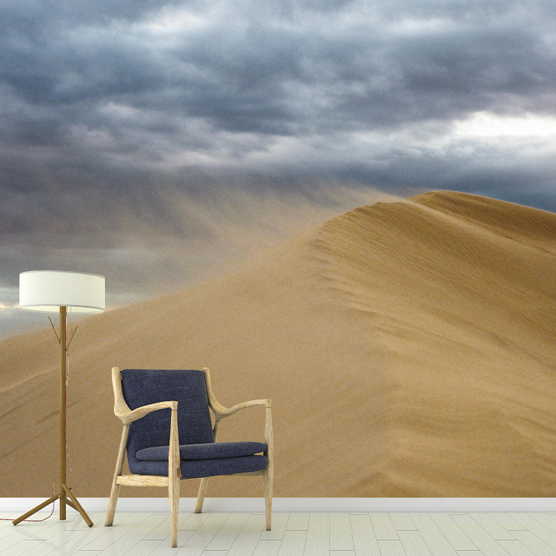 Soft Color Desert Mural Decal Nature Scenery Modern Mildew Resistant Wall Art for Room