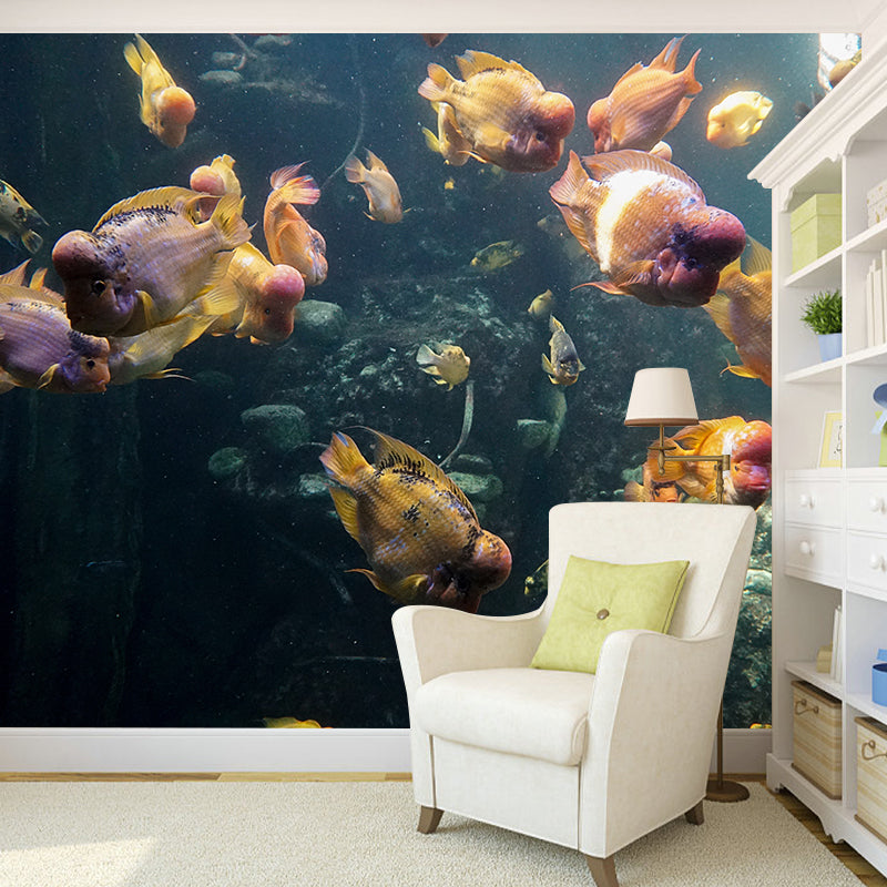 Tropical Sea Creatures Removable Wall Mural for Sleeping Room Home Decor