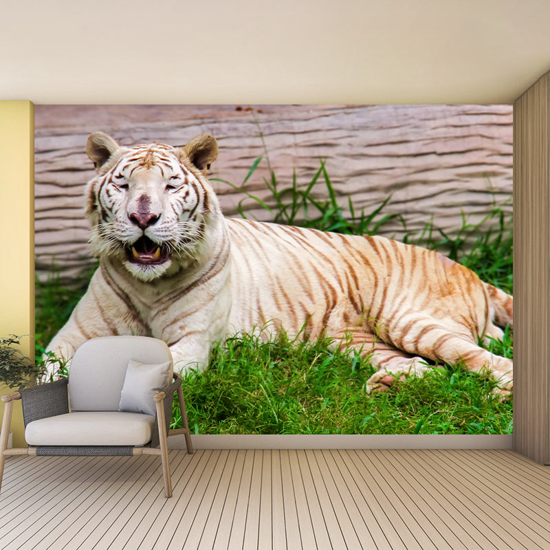 Tiger Animal Wall Mural Stain Resistant Wall Covering for Living Room Bedroom