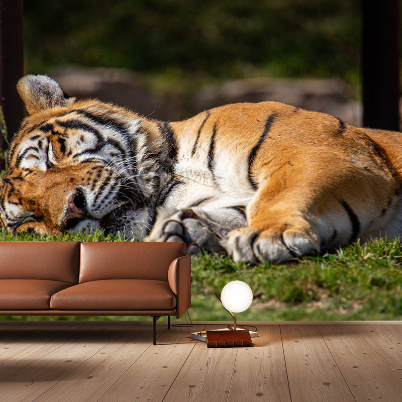 Tiger Animal Wall Mural Stain Resistant Wall Covering for Living Room Bedroom