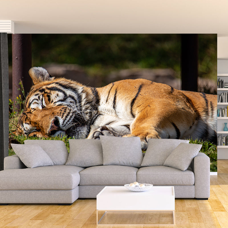 Tiger Animal Wall Mural Stain Resistant Wall Covering for Living Room Bedroom
