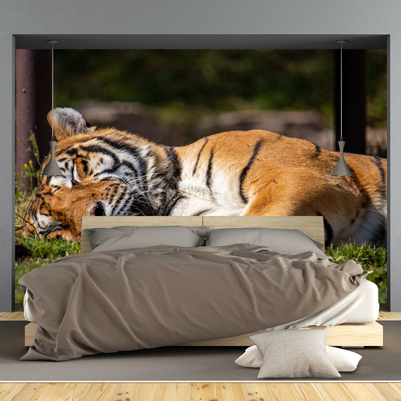Tiger Animal Wall Mural Stain Resistant Wall Covering for Living Room Bedroom