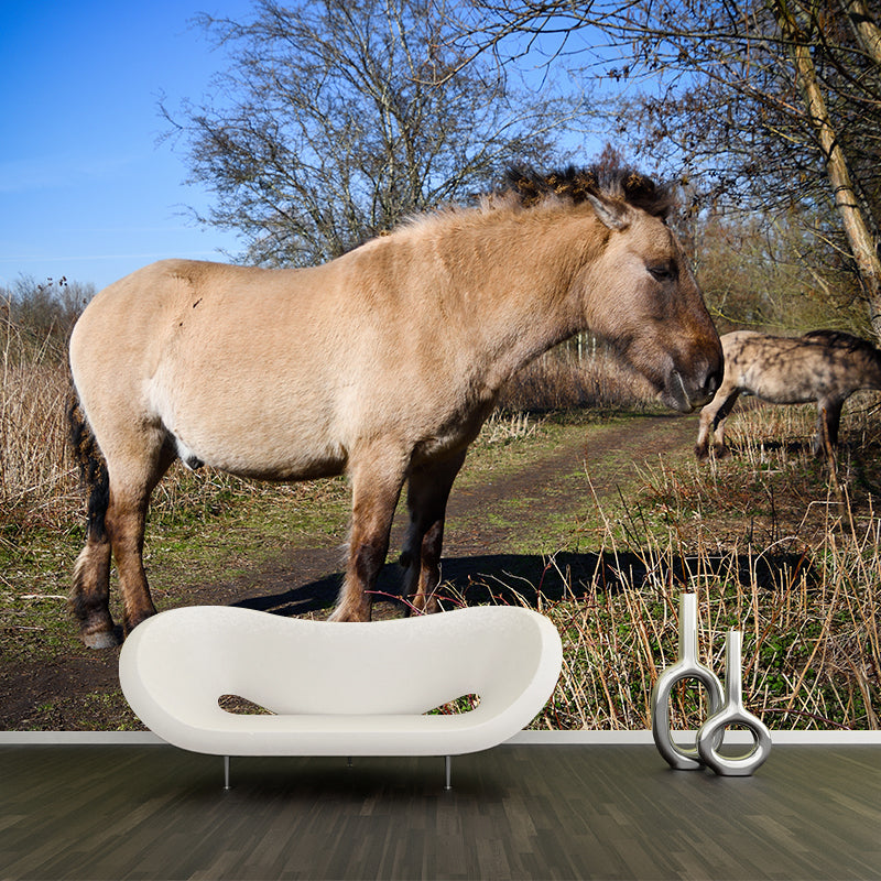 Horse Herd Removable Wall Mural for Sitting Room, Custom Size Available