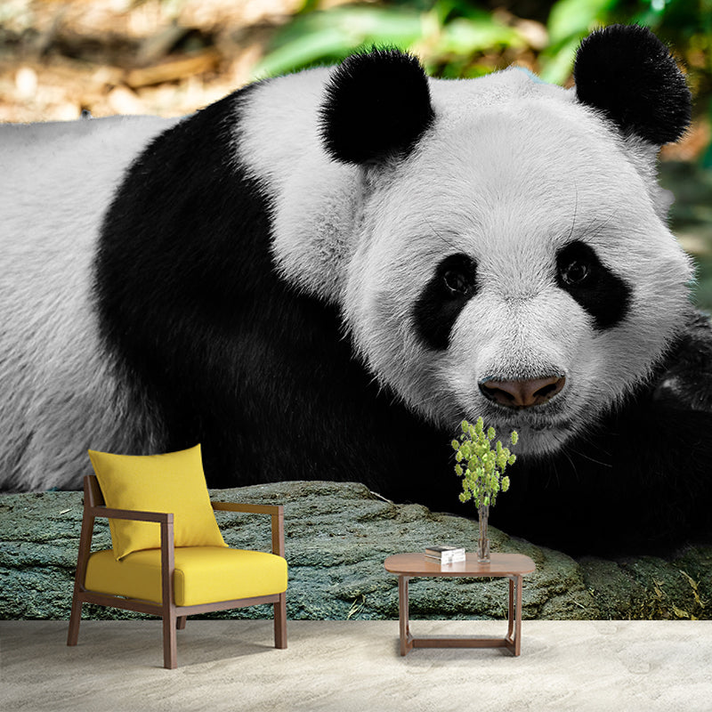 Cute Panda Wall Mural Customized Modern Wall Covering for Bedroom, Water Resistant