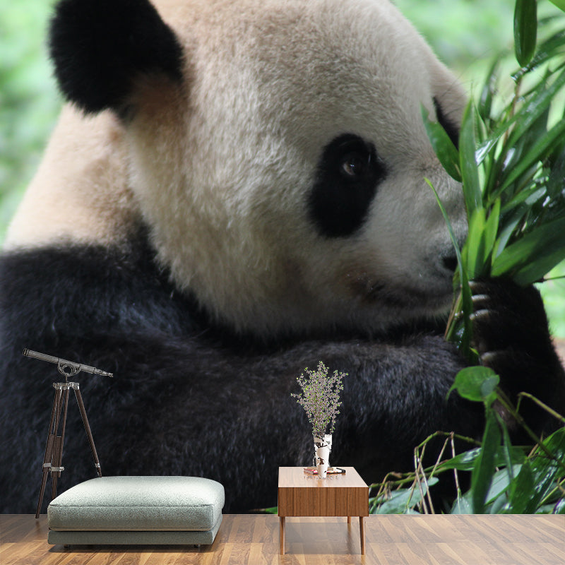 Cute Panda Wall Mural Customized Modern Wall Covering for Bedroom, Water Resistant