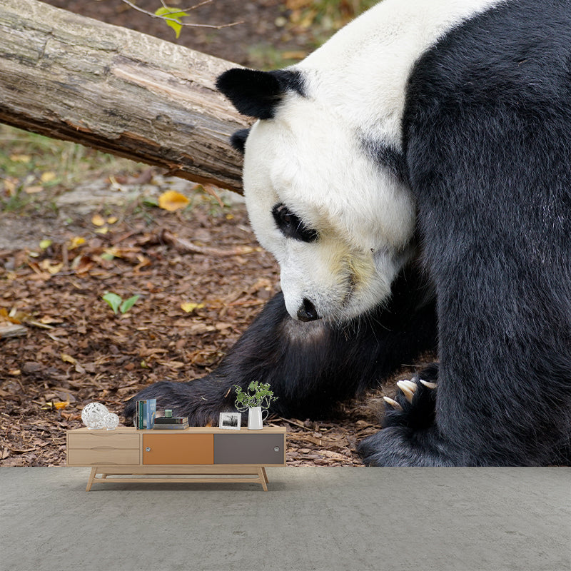 Cute Panda Wall Mural Customized Modern Wall Covering for Bedroom, Water Resistant