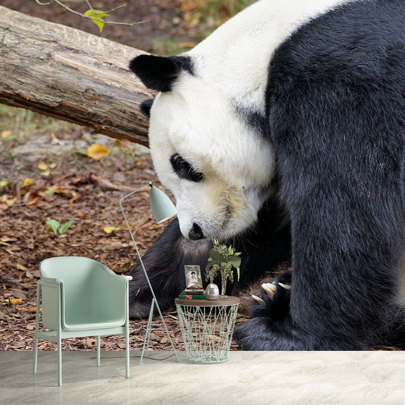Cute Panda Wall Mural Customized Modern Wall Covering for Bedroom, Water Resistant