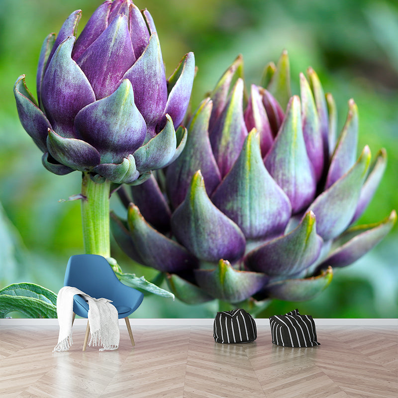 Artichoke Plant Removable Wall Mural for Reading Room, Water Resistant