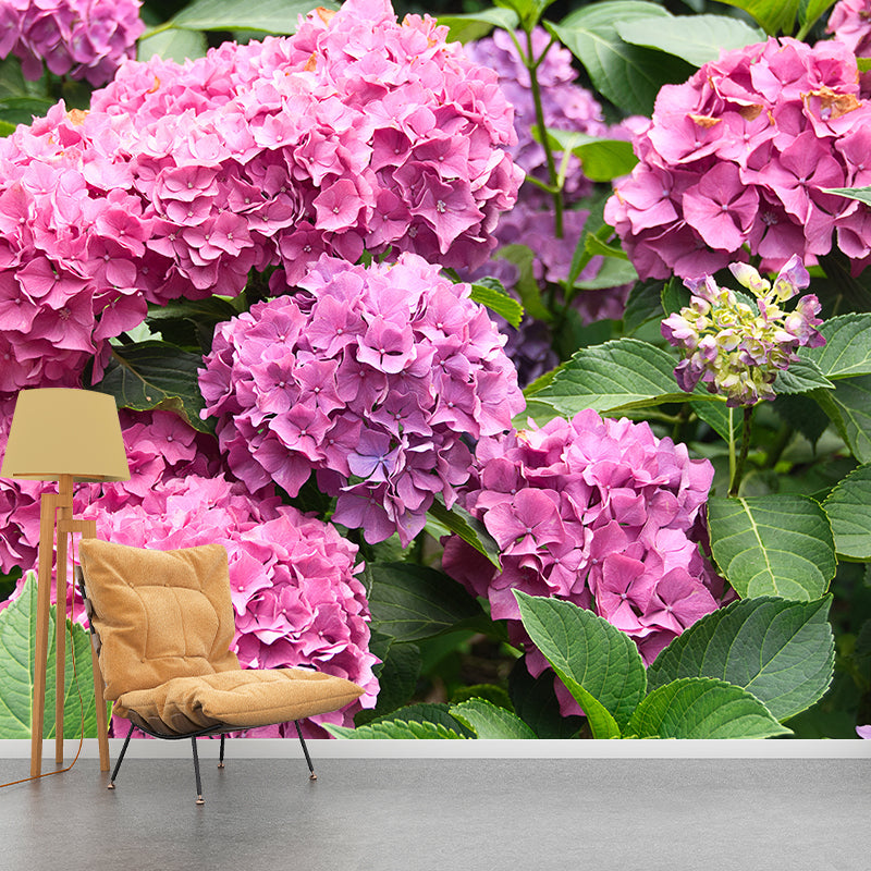 Hydrangeas Mural Wallpaper for Girls Bedroom, Light Color, Custom Print