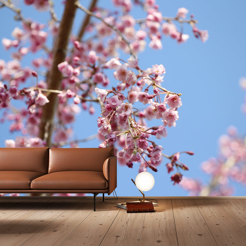 Cherry Blossom Modern Wall Covering for Sleeping Room House Decor, Waterproofing