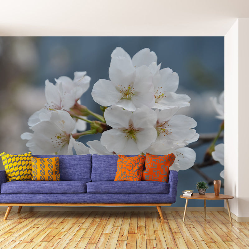 Cherry Blossom Modern Wall Covering for Sleeping Room House Decor, Waterproofing