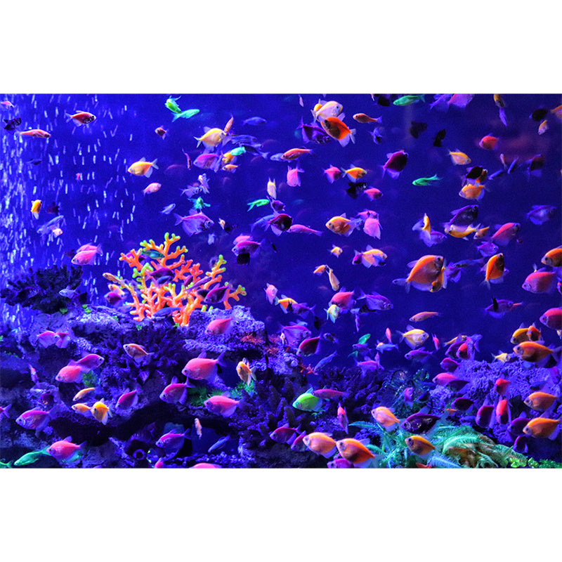 Underwater Scenery Mural Personalized Size Wall Art for Living Room Decoration