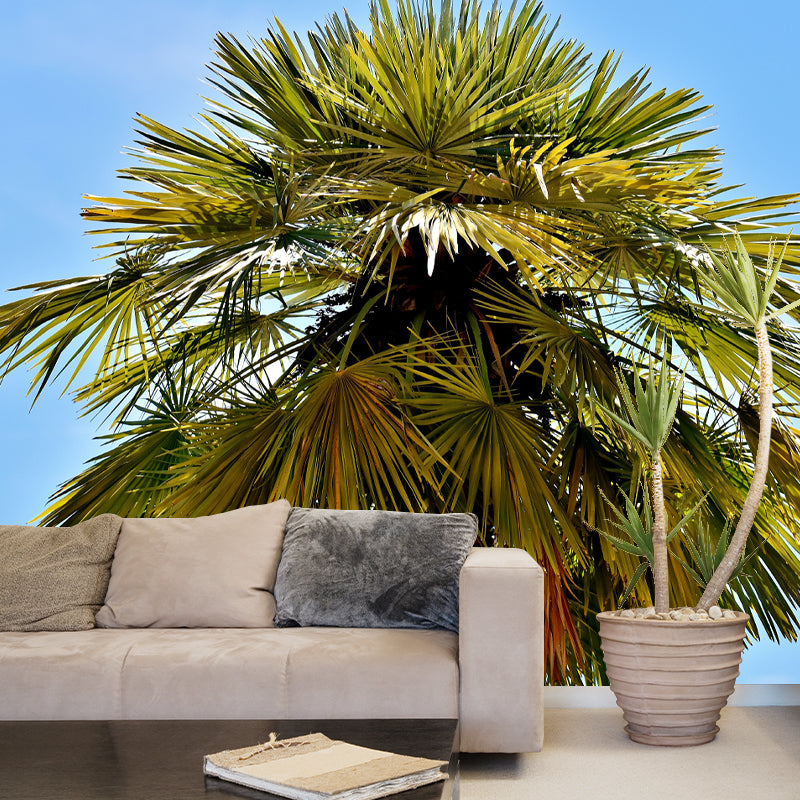 Tropical Palm Tree Personalized Size Wall Covering for Sitting Room Bedroom