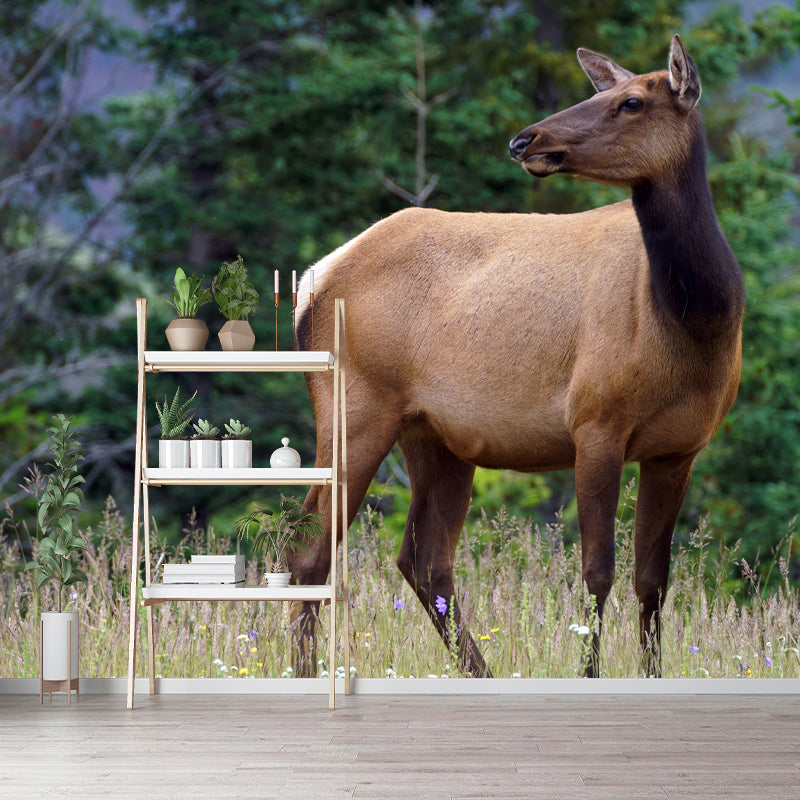 Deer Animal Water-Resistant Wall Mural Minimalist Wall Covering for Living Room Decor