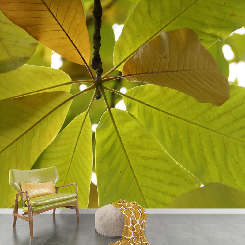 Tree Leaf Wall Mural for Guest Room Decor Moisture Resistant Home Decor