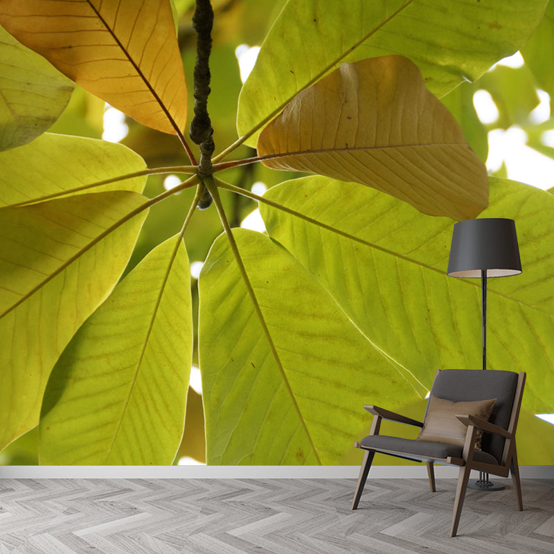 Tree Leaf Wall Mural for Guest Room Decor Moisture Resistant Home Decor
