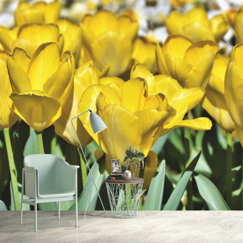 Tulip Mural Wallpaper Custom-Printed Flower Wall Covering for Sleeping Room