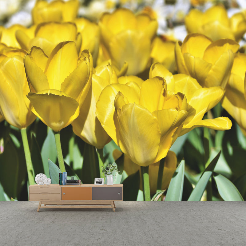 Tulip Mural Wallpaper Custom-Printed Flower Wall Covering for Sleeping Room