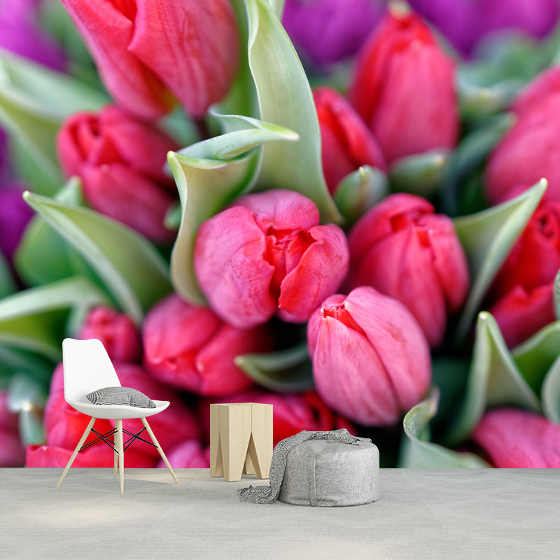 Photography Tulip Wall Mural Decal for Sitting Room, Personalized Size Available