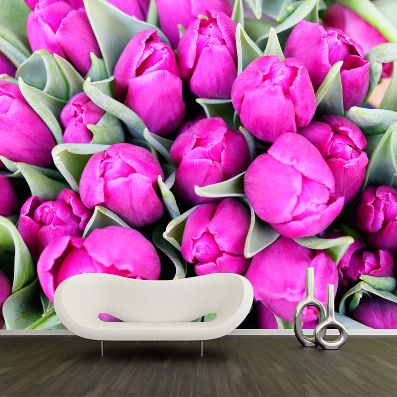 Photography Tulip Wall Mural Decal for Sitting Room, Personalized Size Available