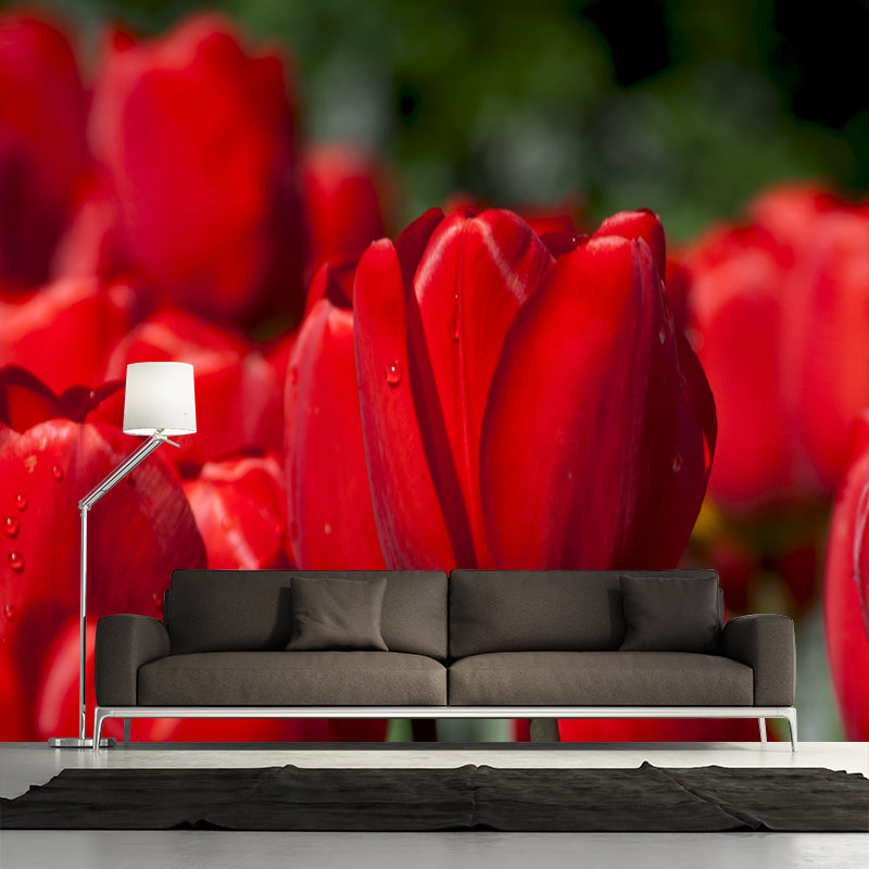 Blossoming Tulip Home Decor Personalized Size Wall Mural Decal for Girl's Bedroom