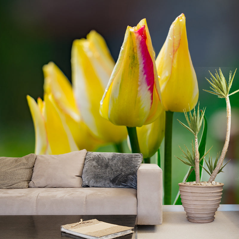 Blossoming Tulip Home Decor Personalized Size Wall Mural Decal for Girl's Bedroom